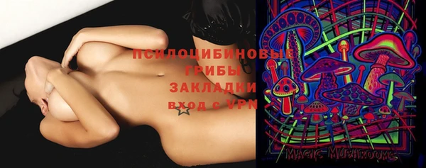 спайс Билибино