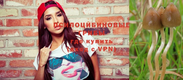 амф Надым