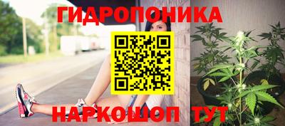 кристаллы Гусь-Хрустальный