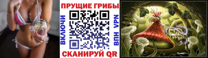 цены   Дзержинск  Галлюциногенные грибы Cubensis 