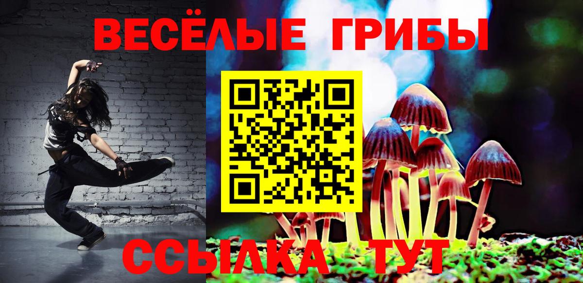Псилоцибиновые грибы Cubensis  Псилоцибиновые грибы ЛСД  Вход с VPN  Дзержинск 
